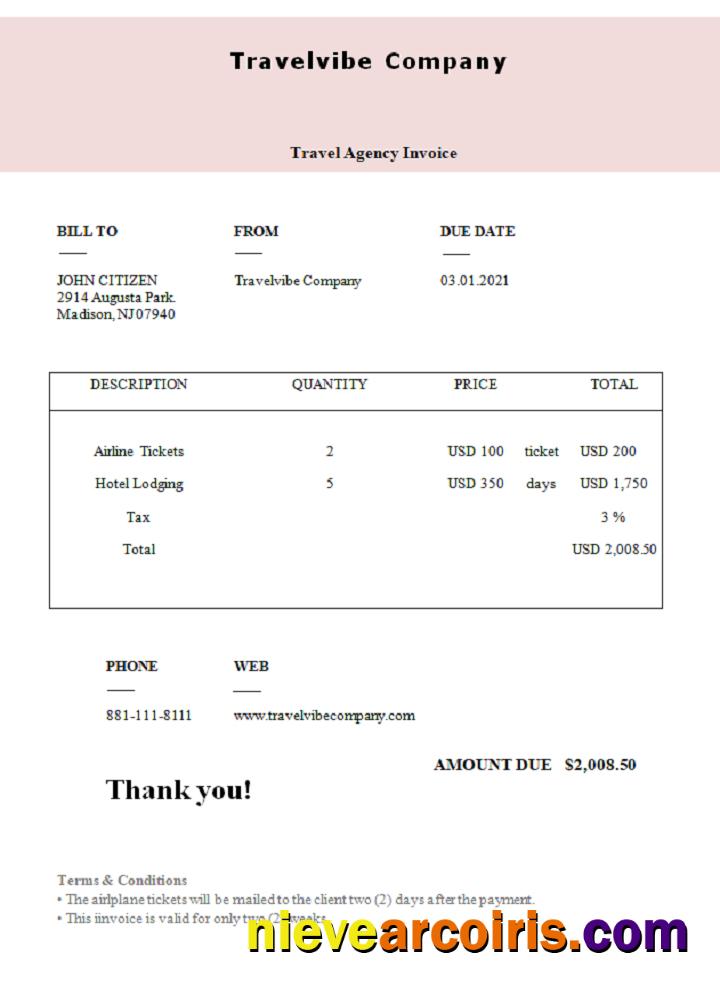 USA Travelvibe Company invoice